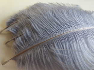 Ostrich Feather Large Grey